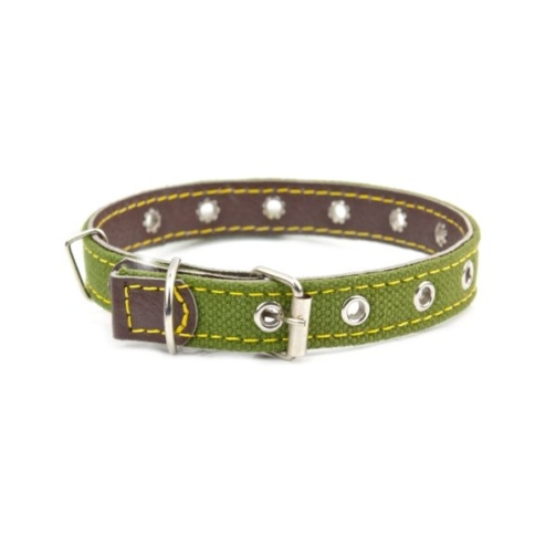 demo-attachment-31-dog-collar-P92XPL5